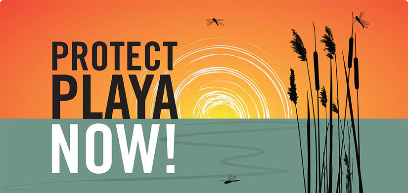 Protect Playa Now